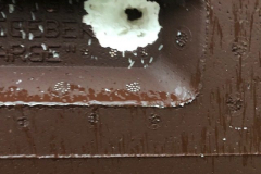 IMG_4889-e1548078010853