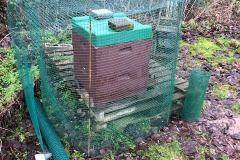 IMG_4945-e1548077993284