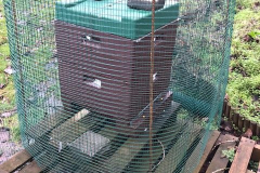 IMG_4946-e1548078001380