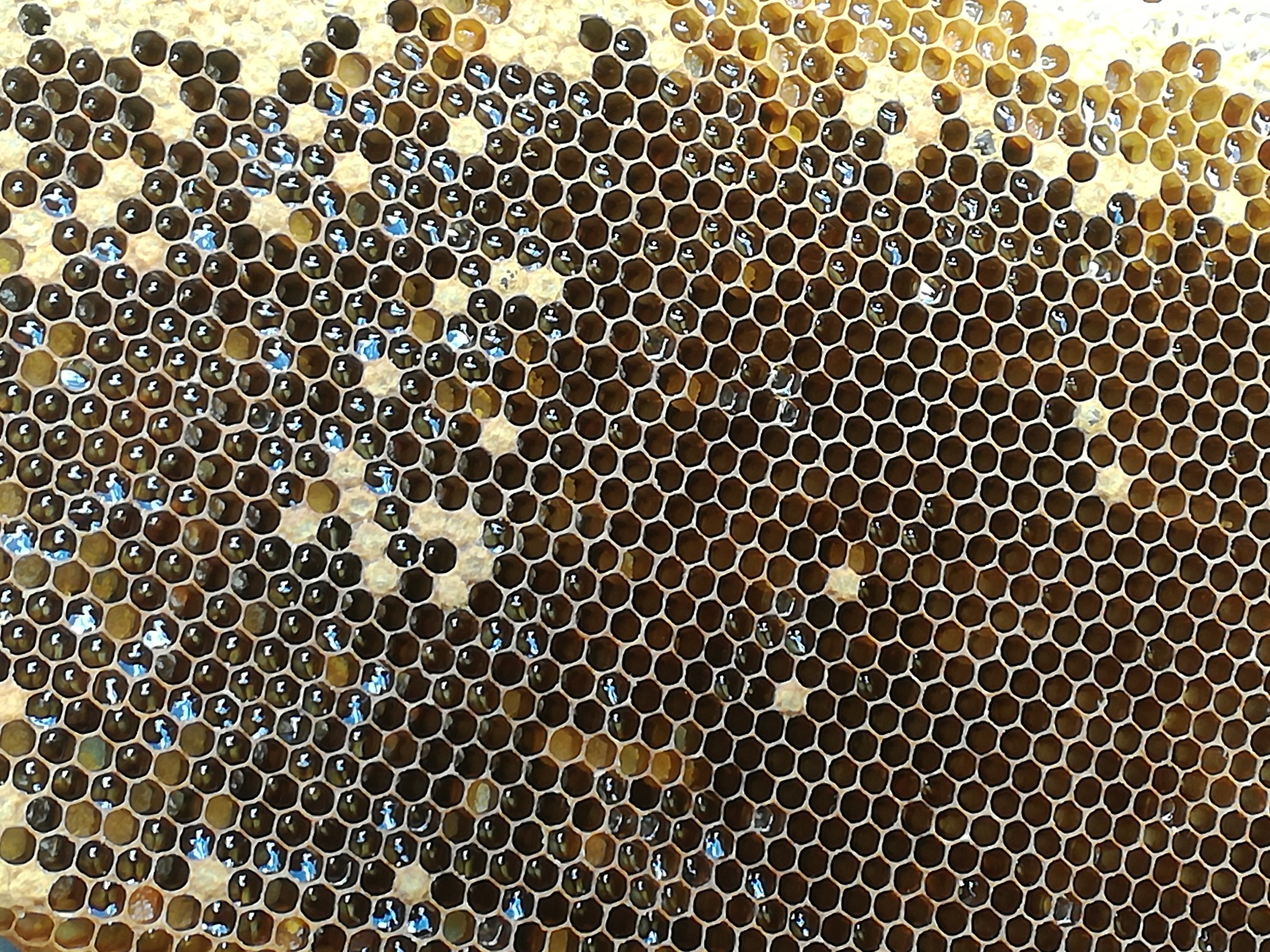 IMG_20170609_154305_resized_20180316_092812262