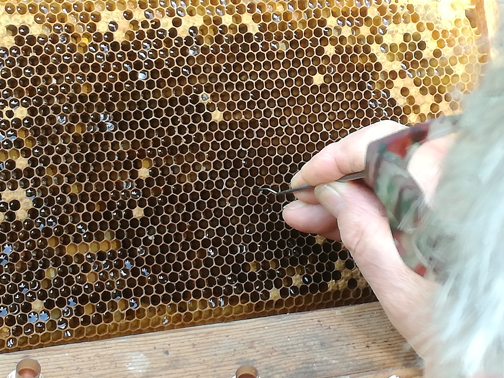 IMG_20170609_155749_resized_20180316_092811226