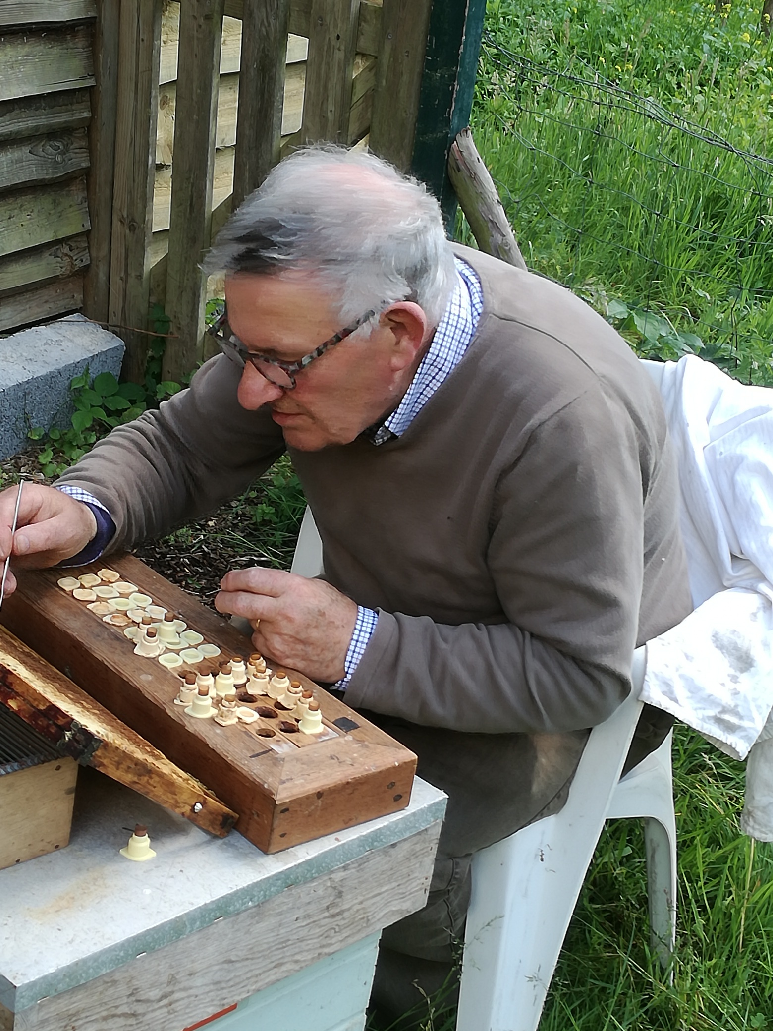 IMG_20170609_155811_resized_20180316_092808848