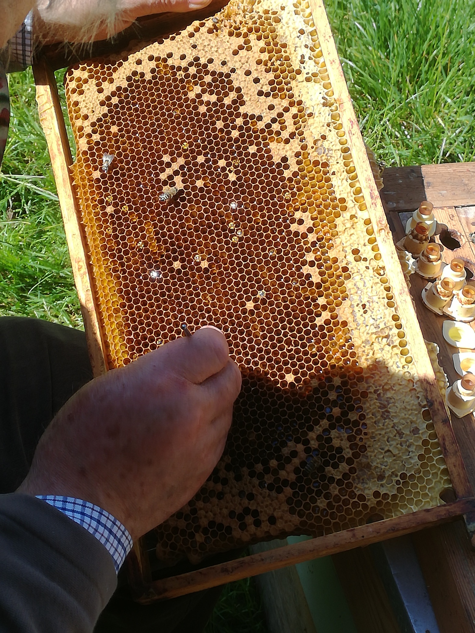 IMG_20170609_160335_resized_20180316_092809768