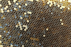 IMG_20170609_154305_resized_20180316_092812262