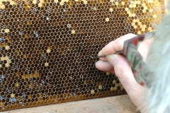 IMG_20170609_155749_resized_20180316_092811226