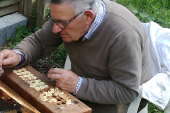 IMG_20170609_155811_resized_20180316_092808848