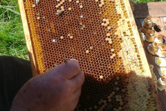 IMG_20170609_160335_resized_20180316_092809768