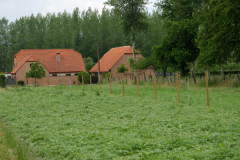 Thubingermengsel_27_05_2018_03